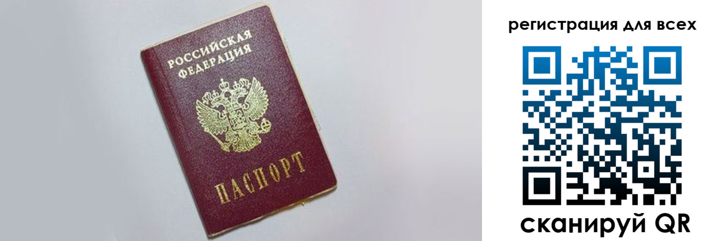 прописка 2025 в Светлогорске